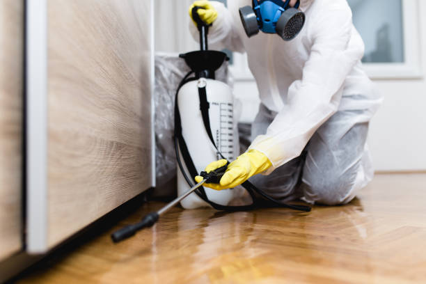 Best Pest Removal Services  in Denver City, TX