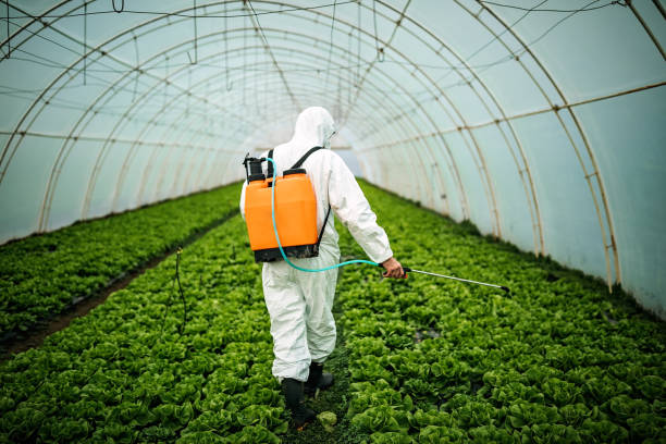 Best Best Pest Control Companies  in Denver City, TX
