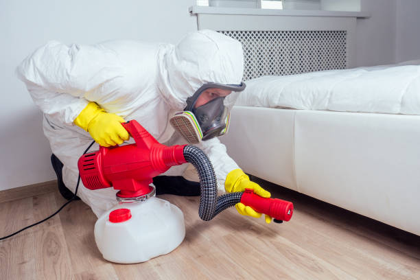 Best Mosquito Control Services  in Denver City, TX